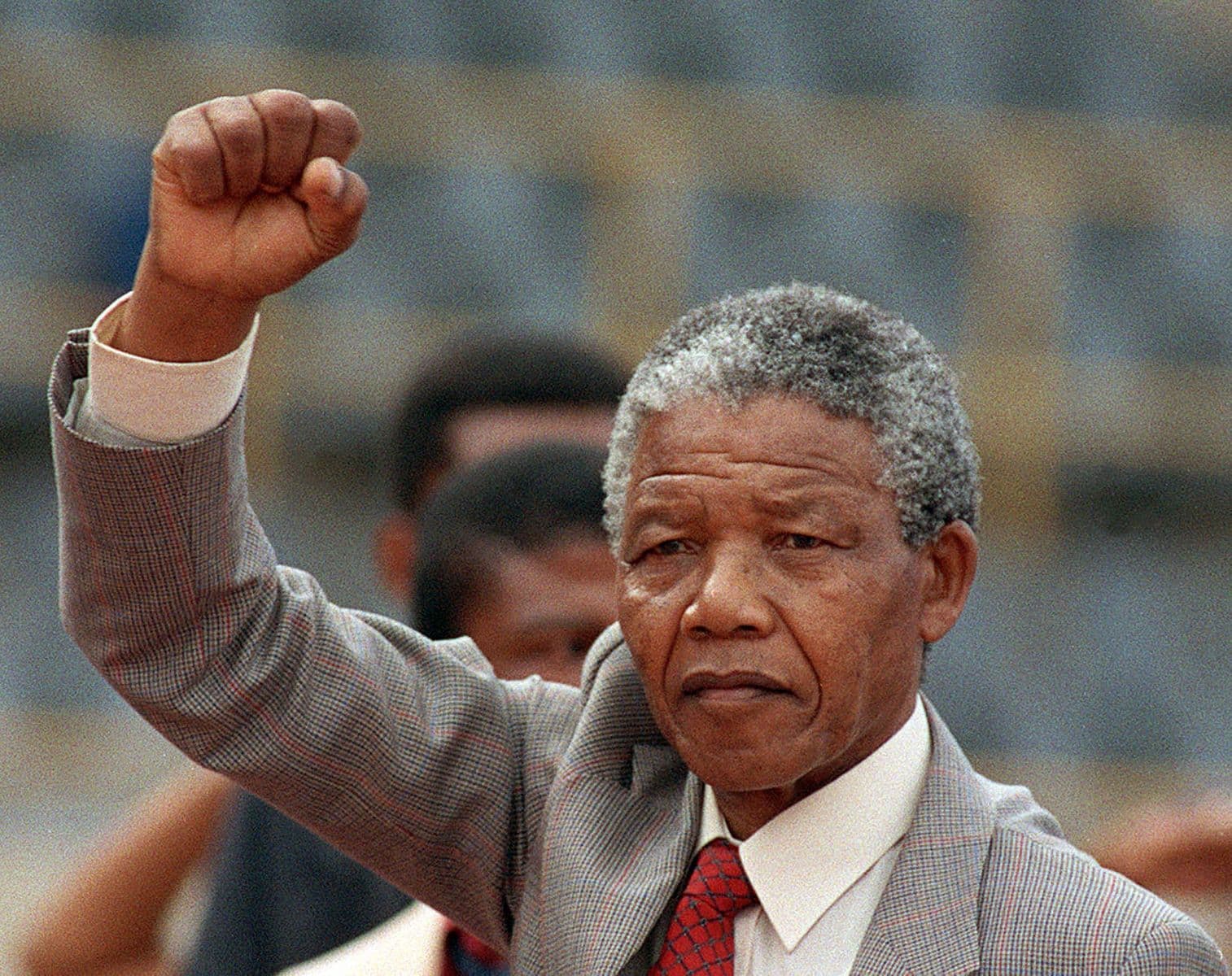 Nelson Mandela Nelson Mandela